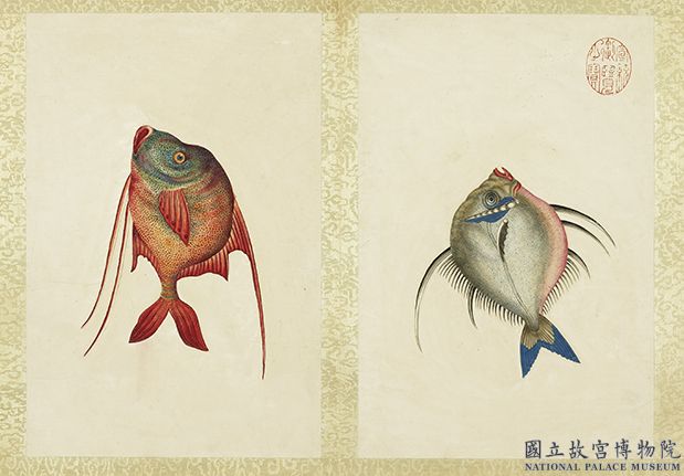 海怪圖記　冊　怪魚一；怪魚二